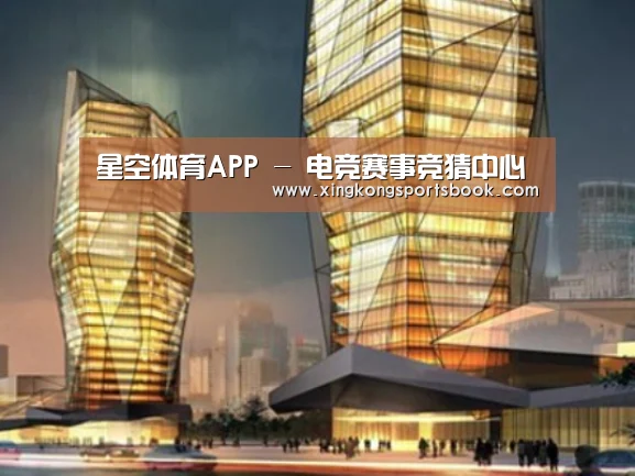 星空平台案例展示二